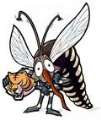 zanzara tigre